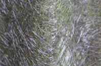 Thrintoft fibreglass roof work